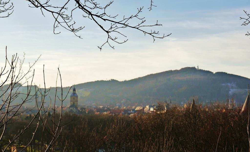 Haus-Wolter Apartment Goslar Bagian luar foto