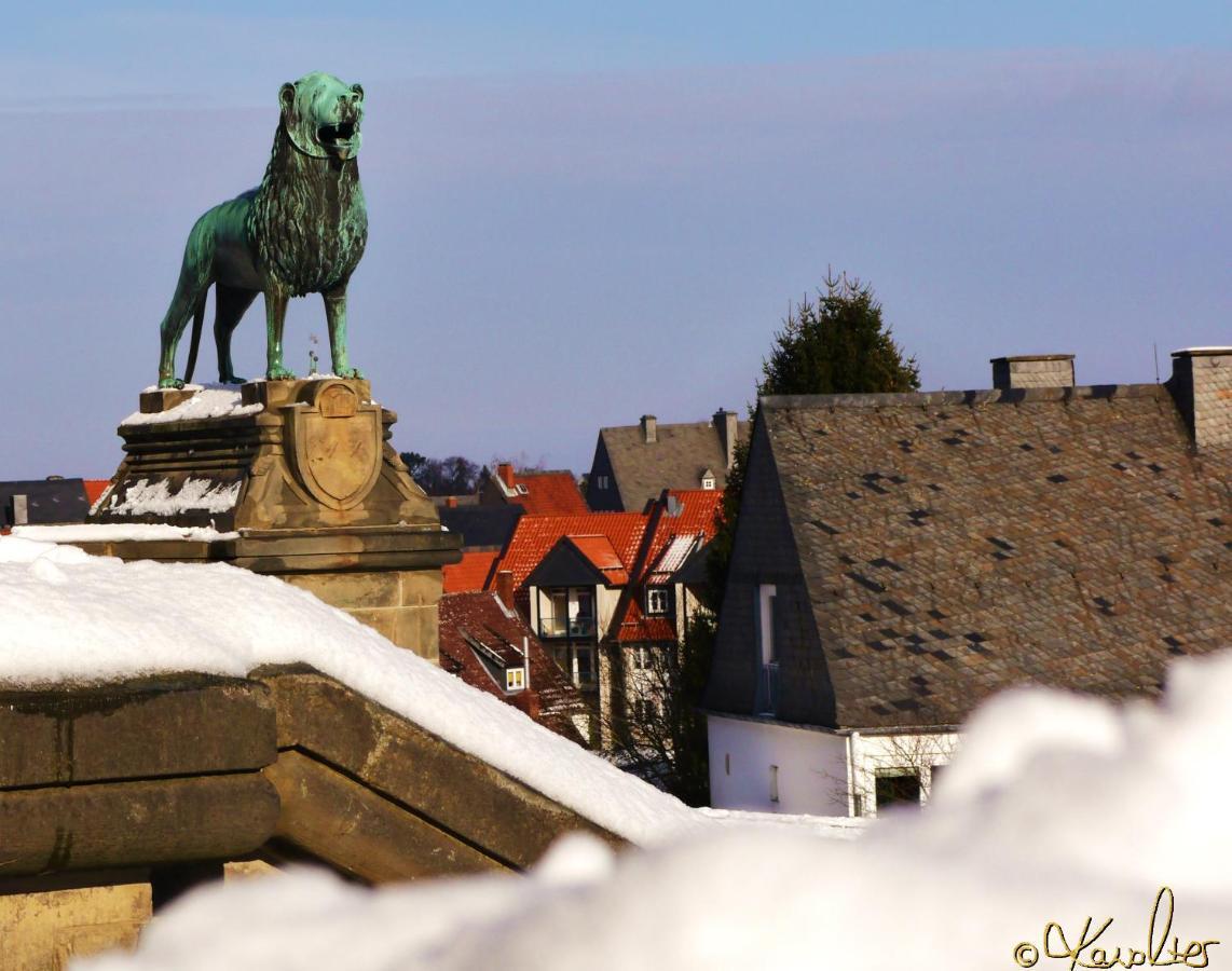 Haus-Wolter Apartment Goslar Bagian luar foto